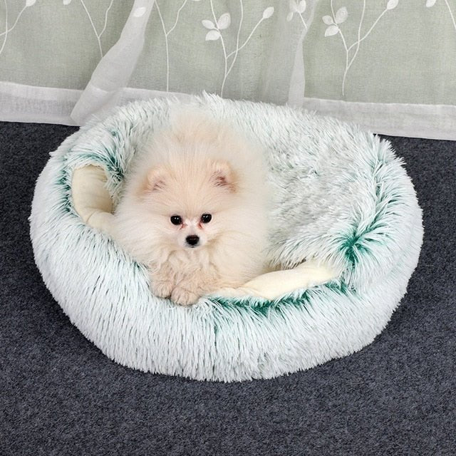 2-in1 Pet Bed - BH Comfy Cozy