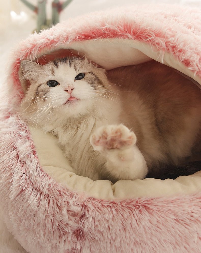 2-in1 Pet Bed - BH Comfy Cozy