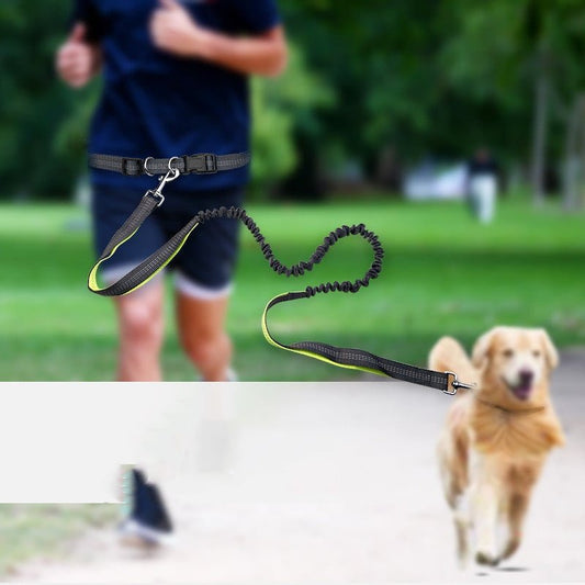 Dog Walking Belt with Detachable Shockproof Leash - BH Comfy Cozy