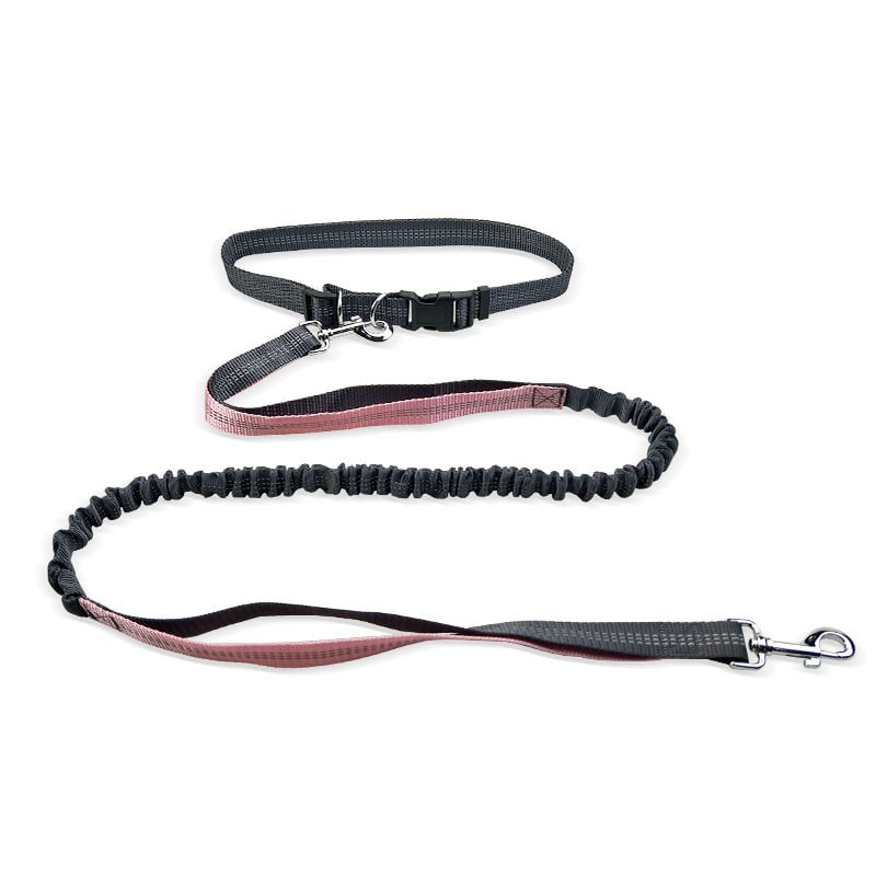 Dog Walking Belt with Detachable Shockproof Leash - BH Comfy Cozy