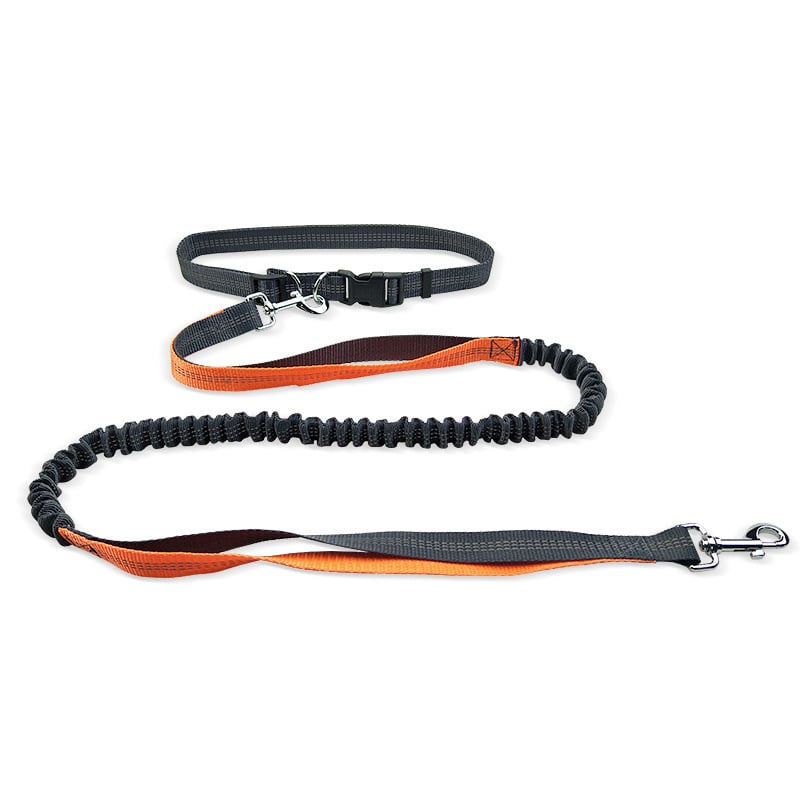 Dog Walking Belt with Detachable Shockproof Leash - BH Comfy Cozy