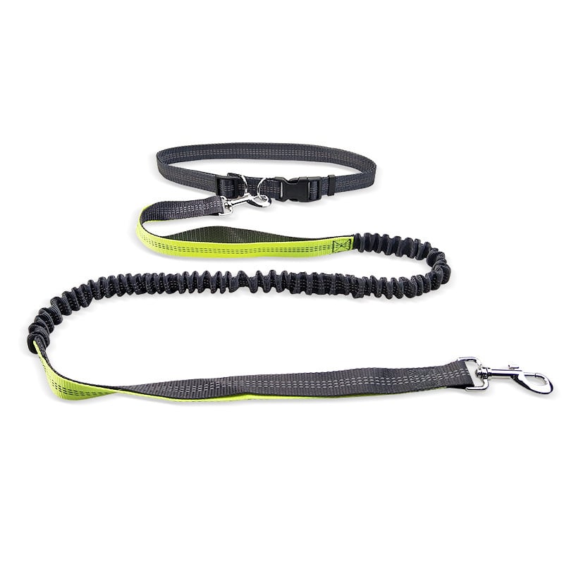Dog Walking Belt with Detachable Shockproof Leash - BH Comfy Cozy