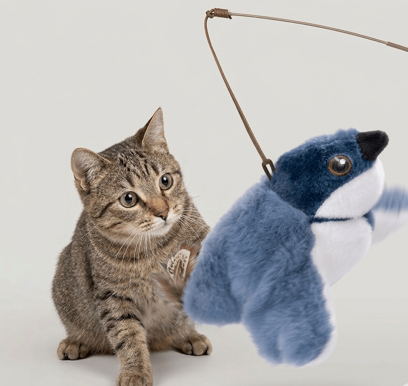 Flapping Bird Cat Toy - BH Comfy Cozy