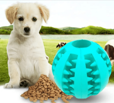 Interactive Rubber Slow Feeder Dog Ball - BH Comfy Cozy