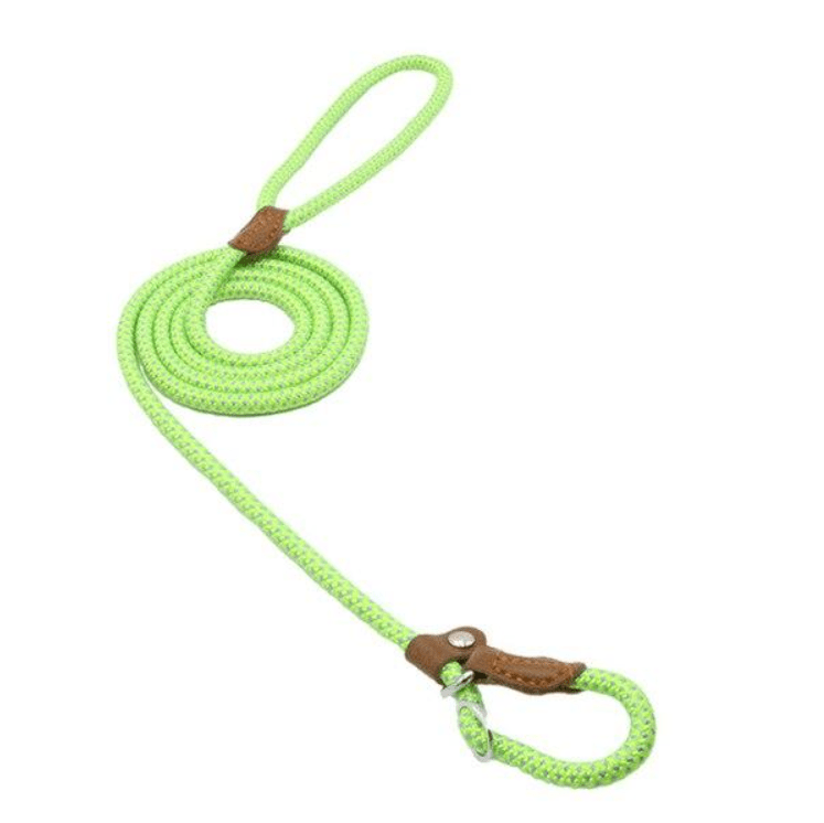 Nylon Pup Set - BH Comfy Cozy