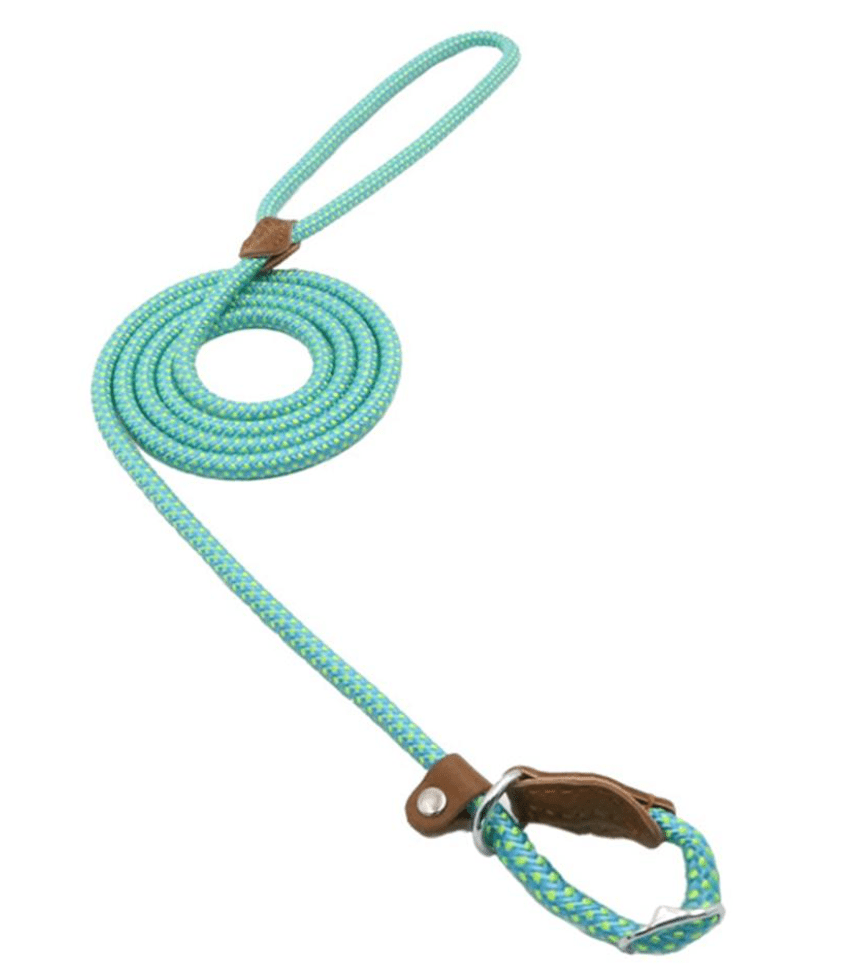 Nylon Pup Set - BH Comfy Cozy