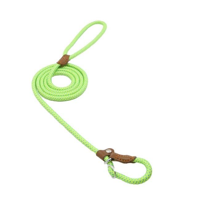 Nylon Pup Set - BH Comfy Cozy