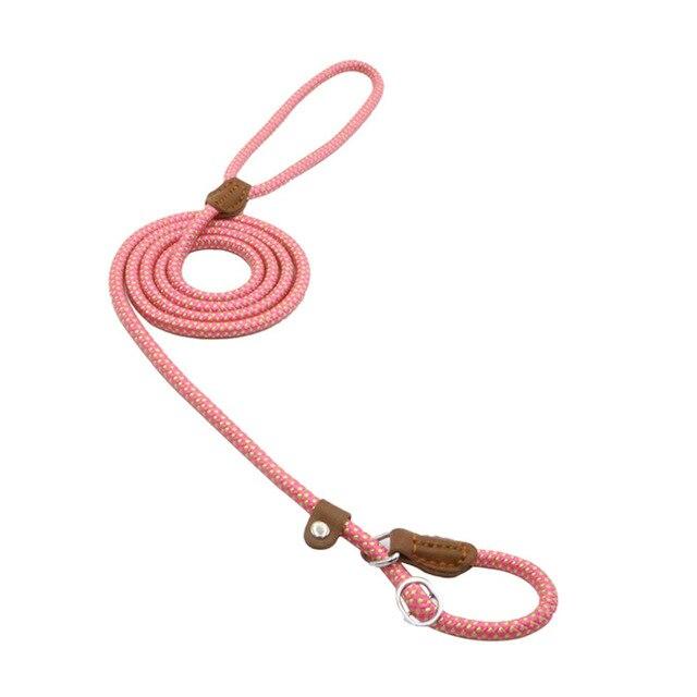 Nylon Pup Set - BH Comfy Cozy