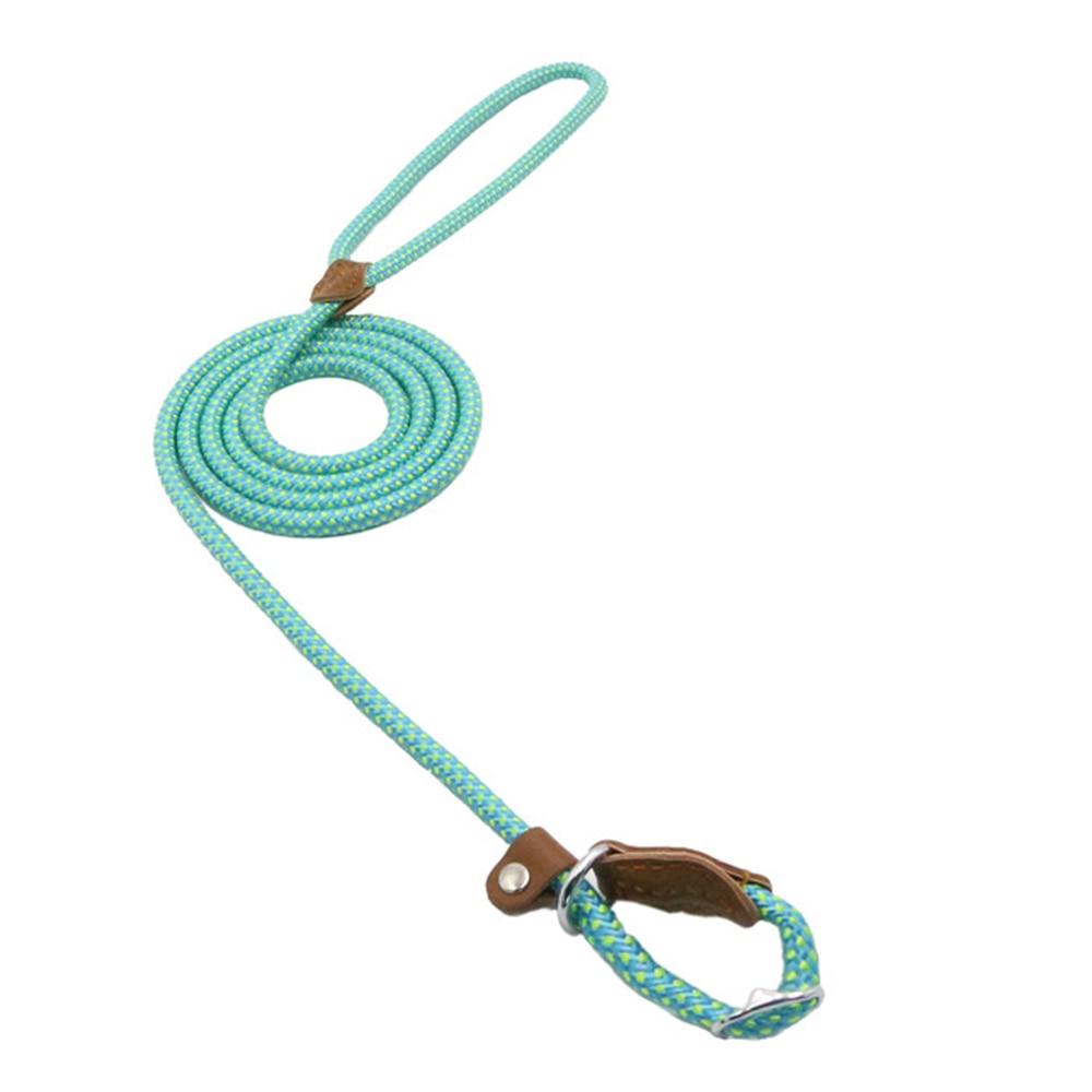 Nylon Pup Set - BH Comfy Cozy