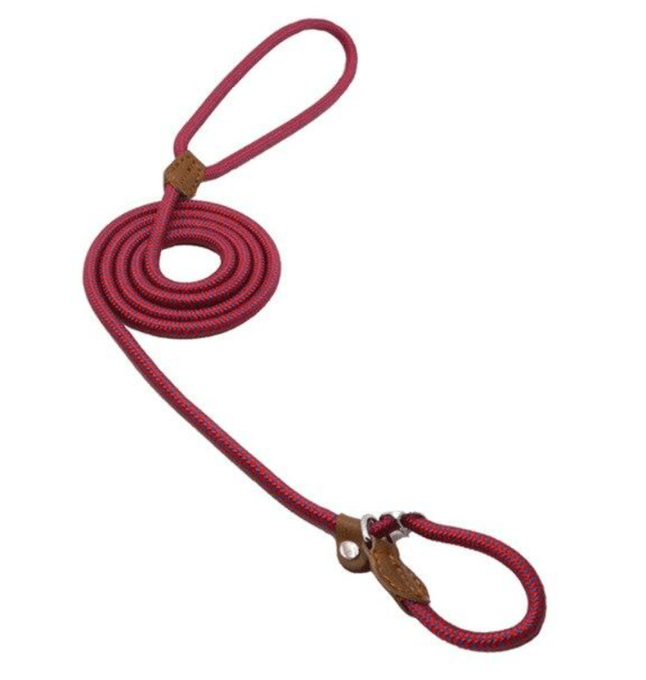 Nylon Pup Set - BH Comfy Cozy
