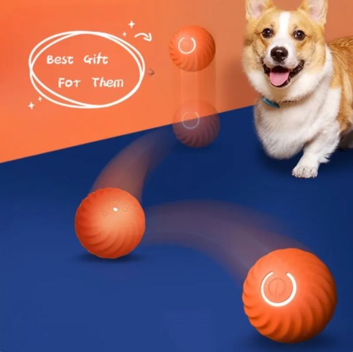 Pet Dog Rubber Ball Toys For Dogs - BH Comfy Cozy