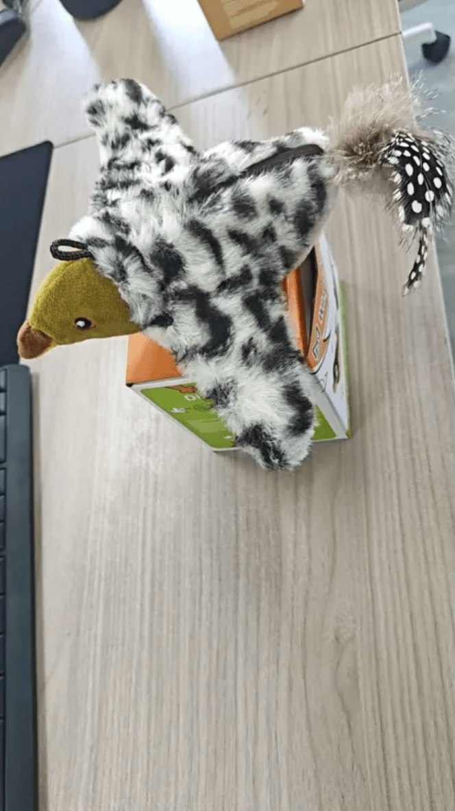 Plush Bird Pet Toy - BH Comfy Cozy