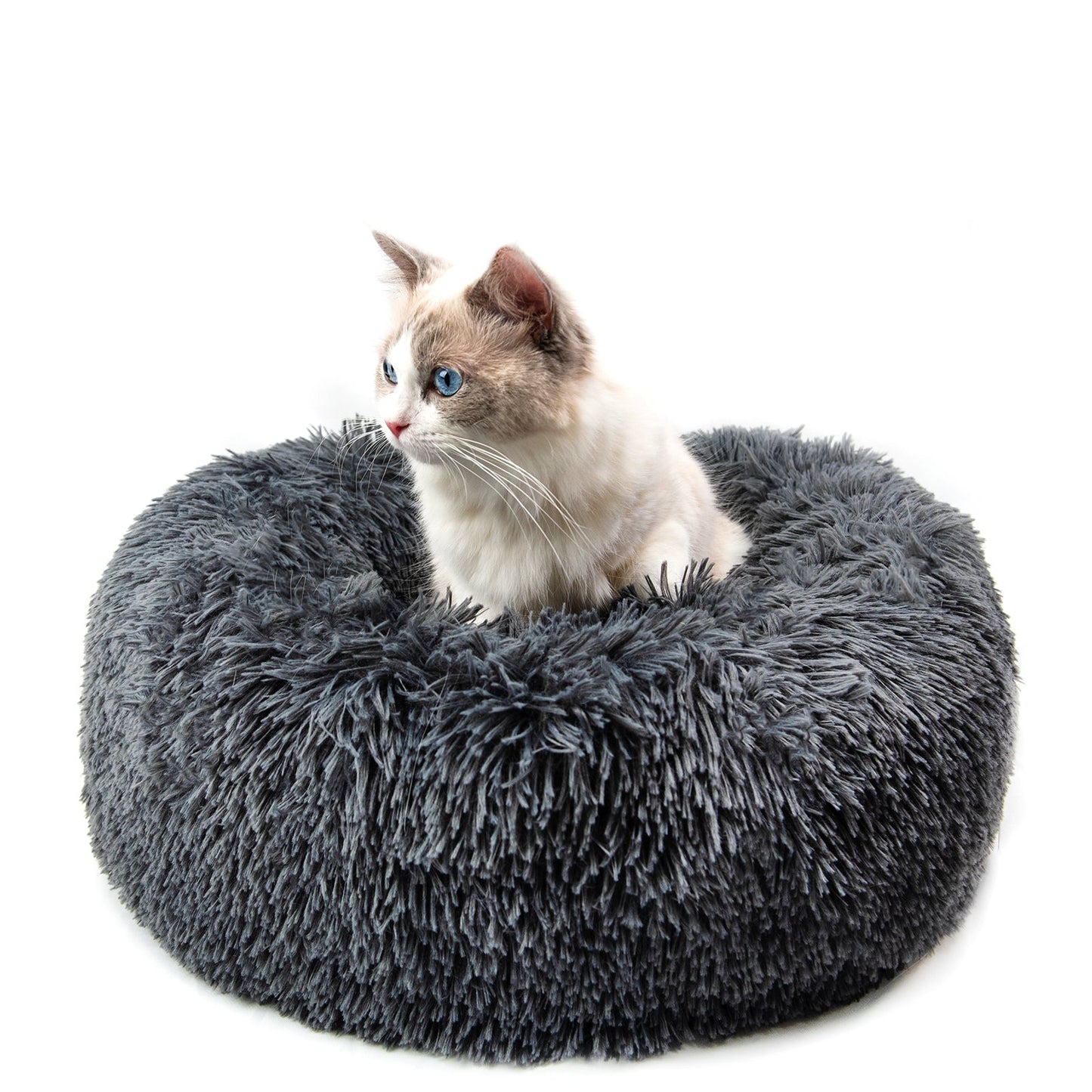 Round Plush Dog Bed for Small Dogs and Puppies - BH Comfy Cozy