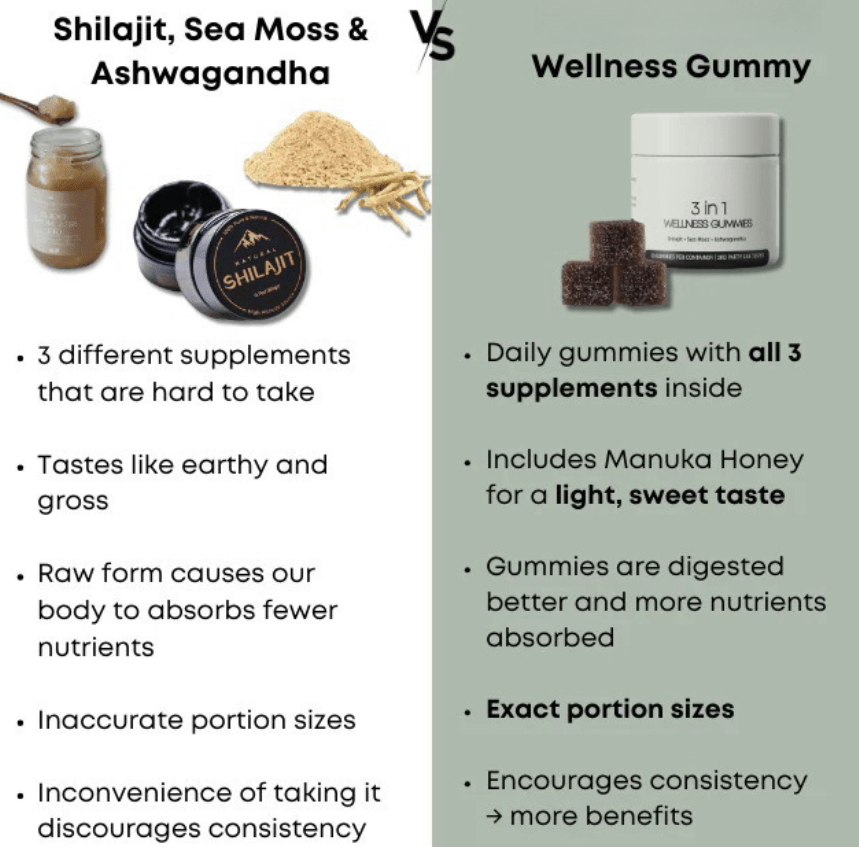 Shilajit 3-in-1 Gummies for Men - BH Comfy Cozy