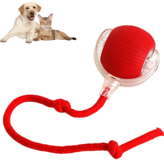 Smart Rolling Pet Ball - BH Comfy Cozy