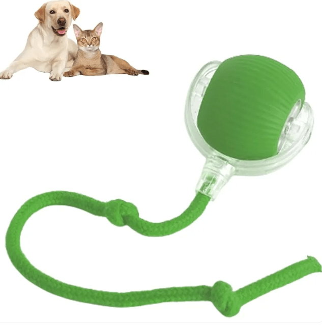 Smart Rolling Pet Ball - BH Comfy Cozy
