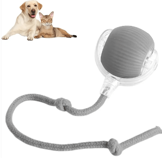 Smart Rolling Pet Ball - BH Comfy Cozy