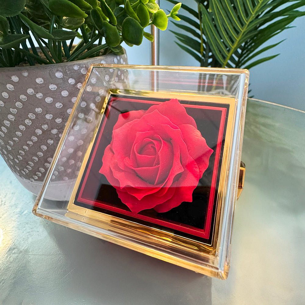 To My Daughter | Alluring Beauty Necklace Gift Box - BH Comfy Cozy